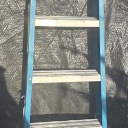 Werner 6ft Ladder 250lb