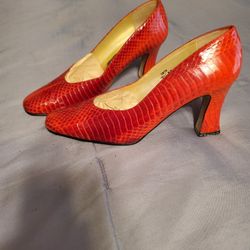 Dressey Shoe