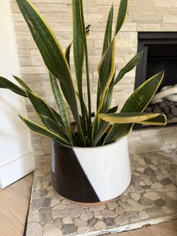 Flower Pot- Porcelain