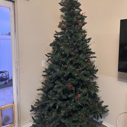 Christmas Tree 