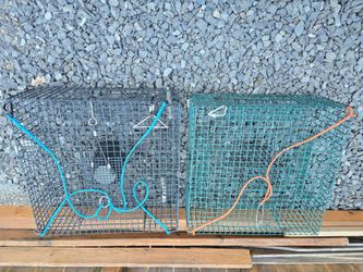 ​2 Spot Shrimp Pots – Excellent Condition (with Harnesses)