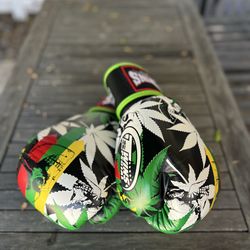 Boxing Gloves Twins Special 14oz