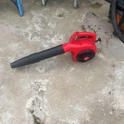 Blower Craftsman