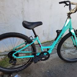 Specialized Roll Hybrid Comfort 