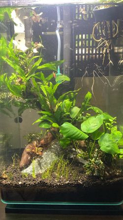 Custom Aquarium Driftwood & Rock Decor - Handmade
