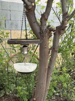 Hanging flower pot