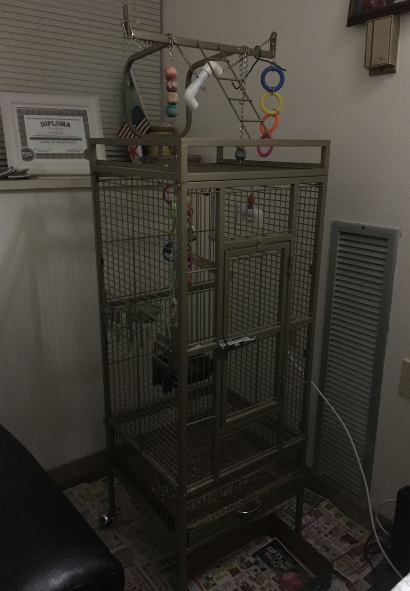 Parrot orBird cage