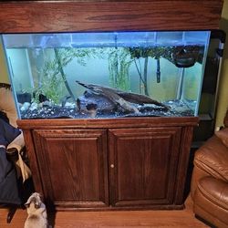 Tank Stand Hood Filtration Only Forsale