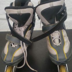 Skates