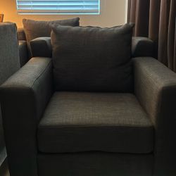 Living Room/ Den Sofa Chairs