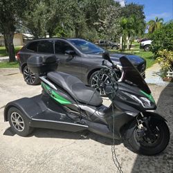 2021 Ice Bear Maximus