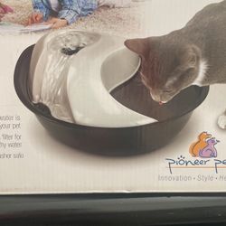 Pet drinking fountain