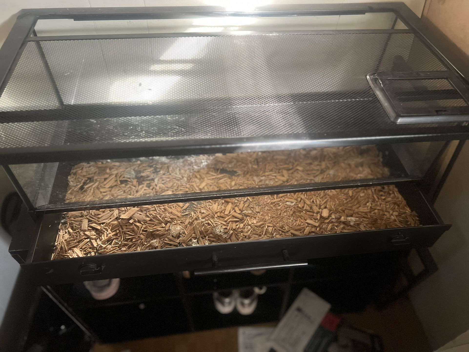 Reptile Tank