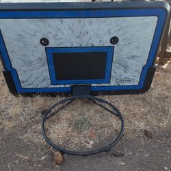 Lifetime Basketball Hoop 