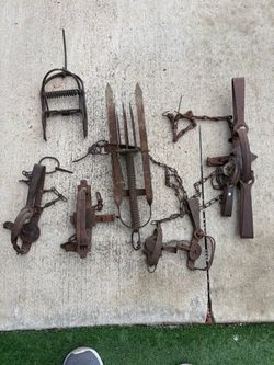 Vintage Iron Animal Traps Collection