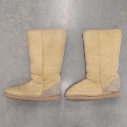 Ugg Boots - Mens