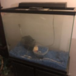 200 Gallon Fish Tank 