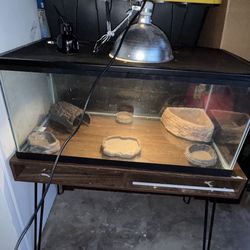 Reptile Tank