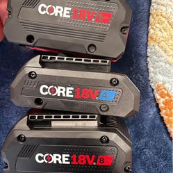 8 Amp Bosch Batteries 