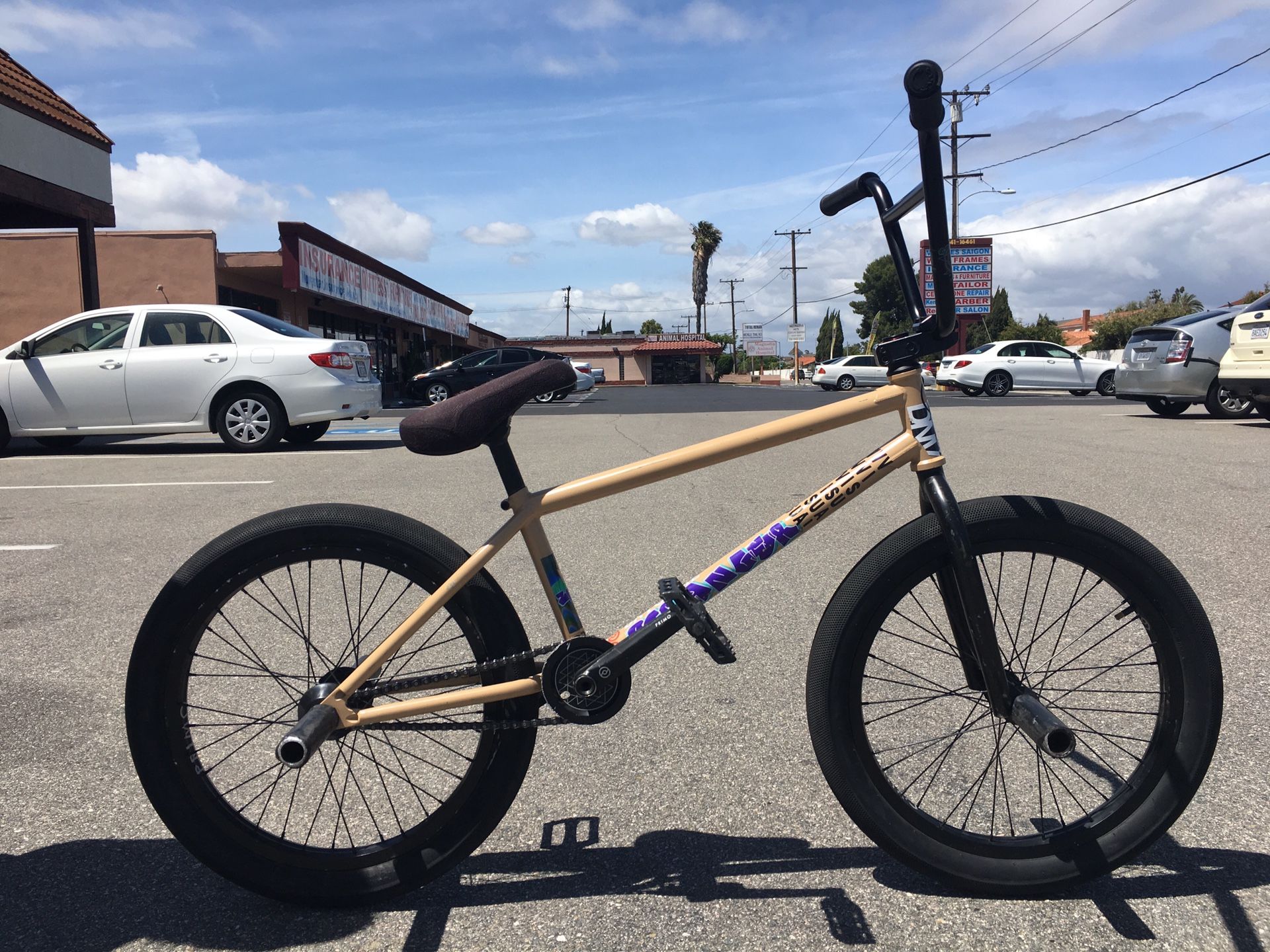 STRANGER Nate Richter ZIA Custom BMX Bike