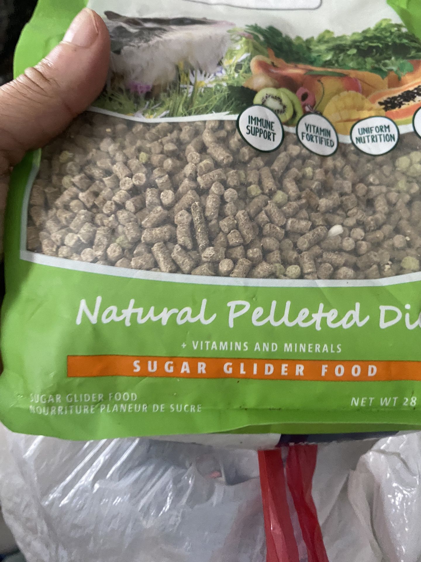 Sugar Glider Food 