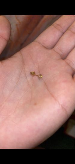 14k yellow gold flower earrings