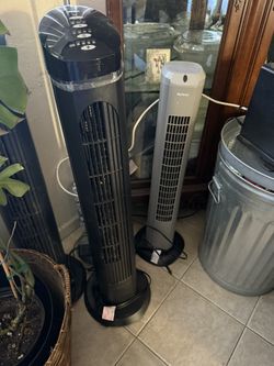 two fans