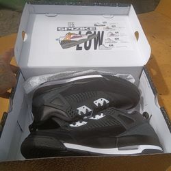 Jordan Spizikes Size 11