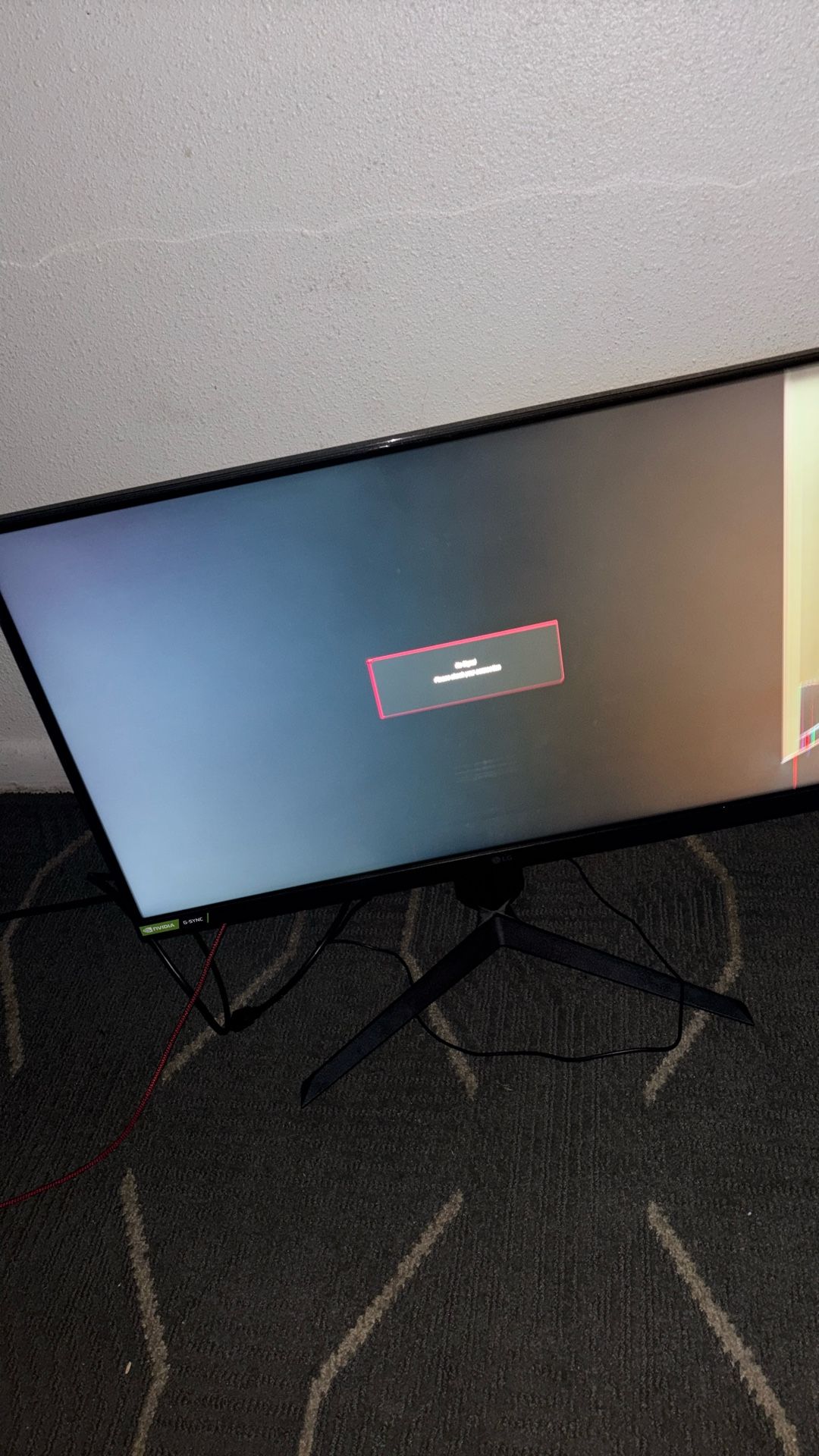 Slightly Broken Gaming Monitor 