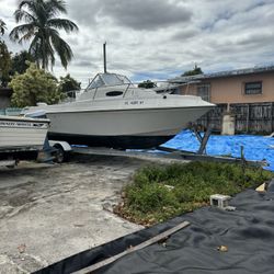 1992 Boat 25 Feet With Trailer