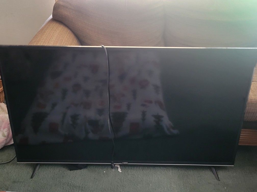 Vizio 55" TV