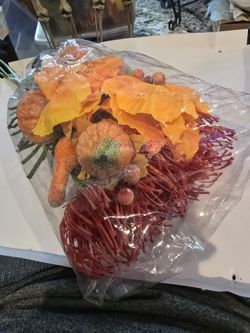 $2 !! $2 For 22" Of Seasonal Foliage And Gourds!!