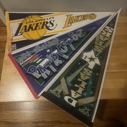 3 Sport Pennants 