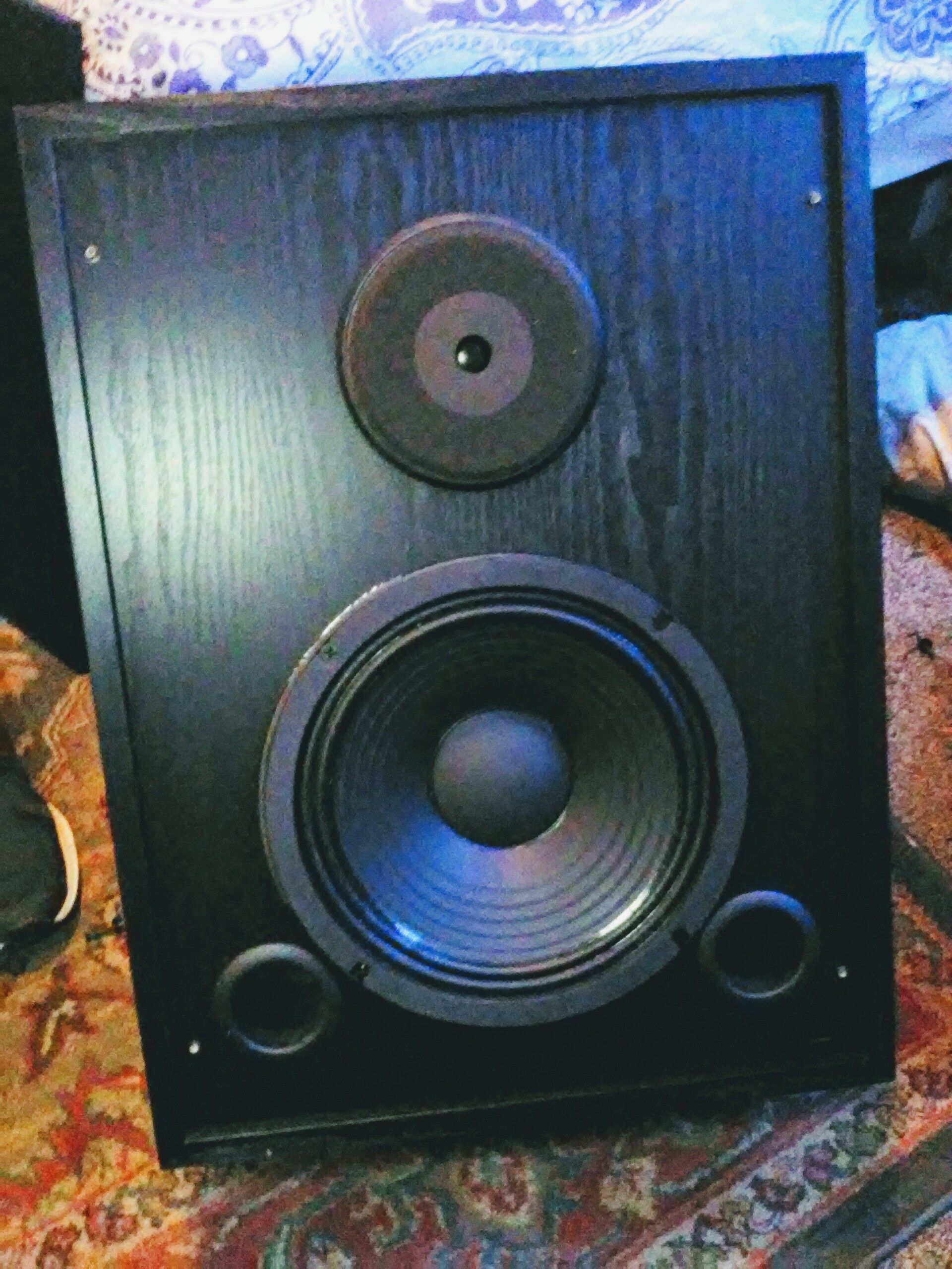 **(2 EACH) ELECTRO-VOICE FR10-2B CINEMA SPEAKERS**