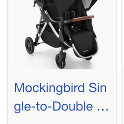 Double Stroller