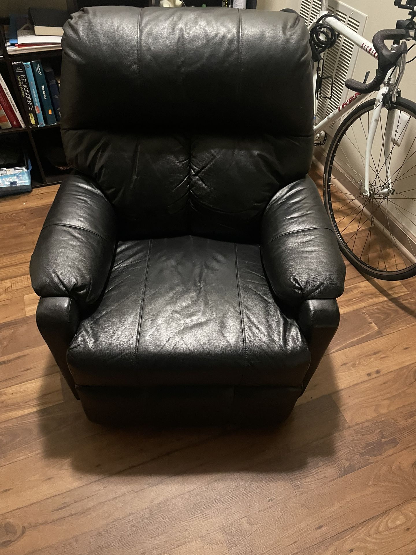 Leather Recliner
