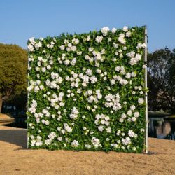Wedding, Graduation Flower Wall