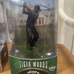 Tiger Woods Collectible 