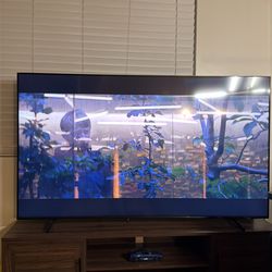 Samsung smart tv 65 inch