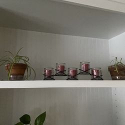 Plants, A Lamp And Vises 