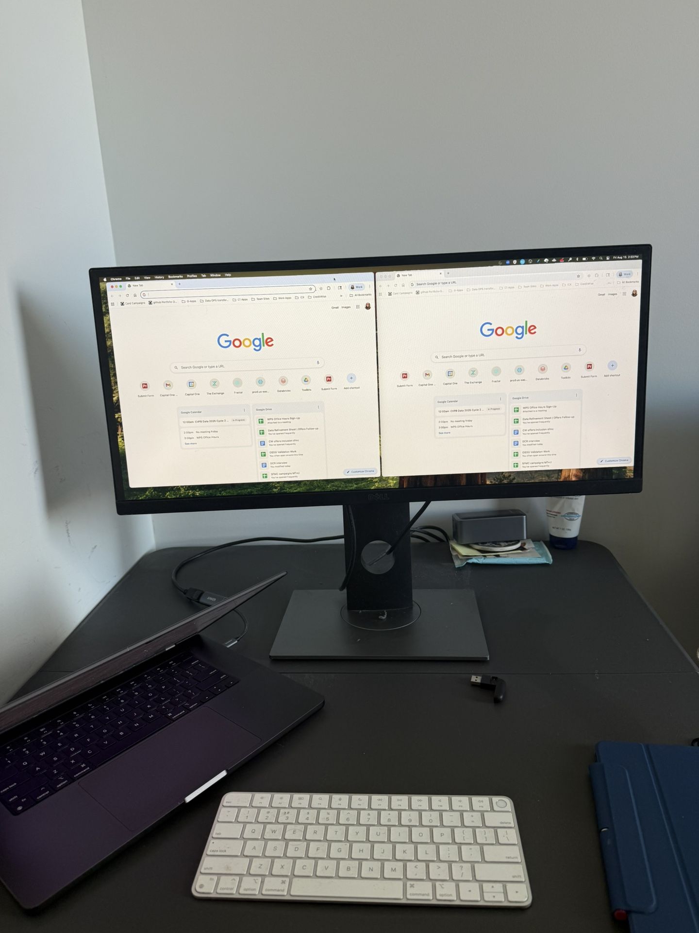 Dell Wide Monitor
