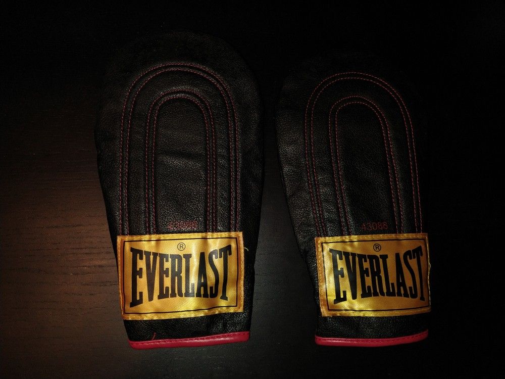 Everlast Speed Bag Punching Mits Gloves