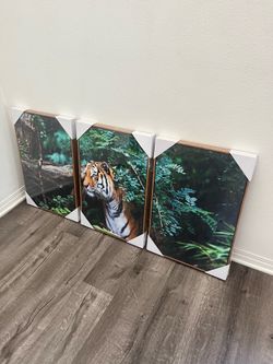 Tiger Canvas Wall Art Set of 3 Framed Jungle Wildlife Prints 16” x 24” Each