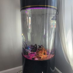 Acrylic Aquarium (58 Gallons)