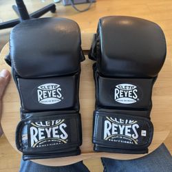 Cleto Reyes MMA Training Gloves - BLACK MAMBA