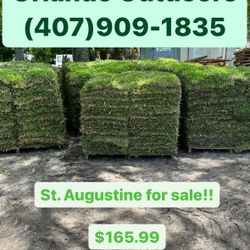 St. Augustine For Sale!!