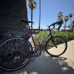 GT Tachyon Crossover Mountain, Gravel, Road