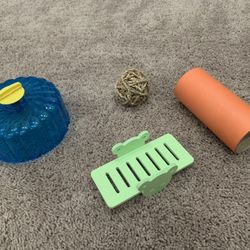 Hamster Supplies