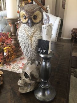 Halloween Owl on Skull Figurine