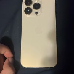 iphone 14 pro (icloud locked)